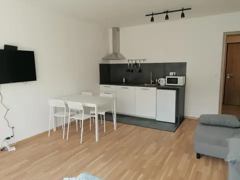 Brand new studio apartment #62 with free secure parking in the center