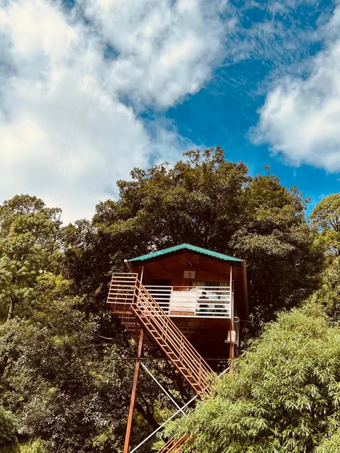 The Cocoon Camps & nature Resorts