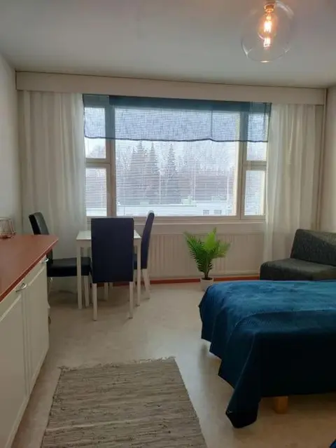 Toimiva kodikas yksiö