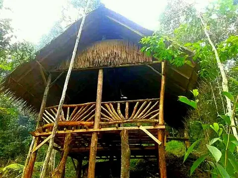 ORANGUTAN TREKKING LODGE Only Book Jungle trek with us
