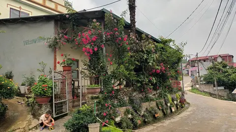 You hour homestay