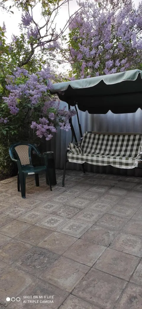 Lux Apartment