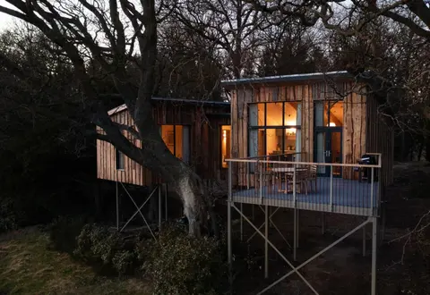 Chiffchaff Treehouse