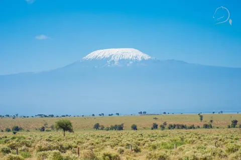 Little Amanya Camp Amboseli