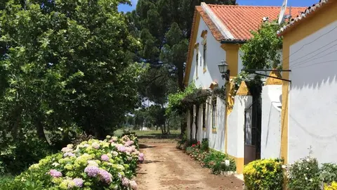 Quinta de SantAna da Várzea