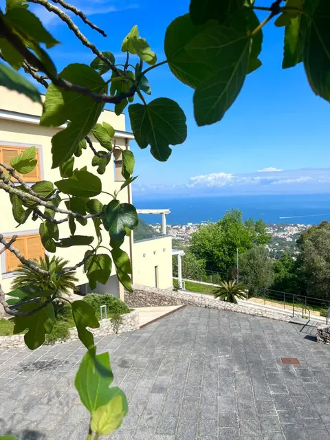 Fountain House Sorrento