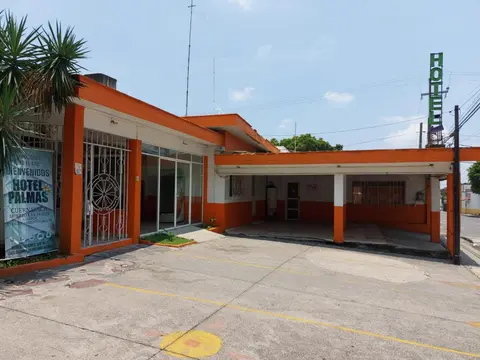 Palmas