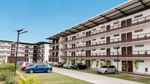 Ibis Studio