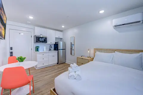 Tropical Jungle Studio Apartment
