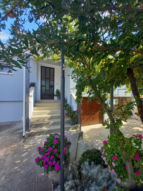 Apartment Rosa