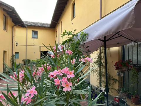 Novi apartment