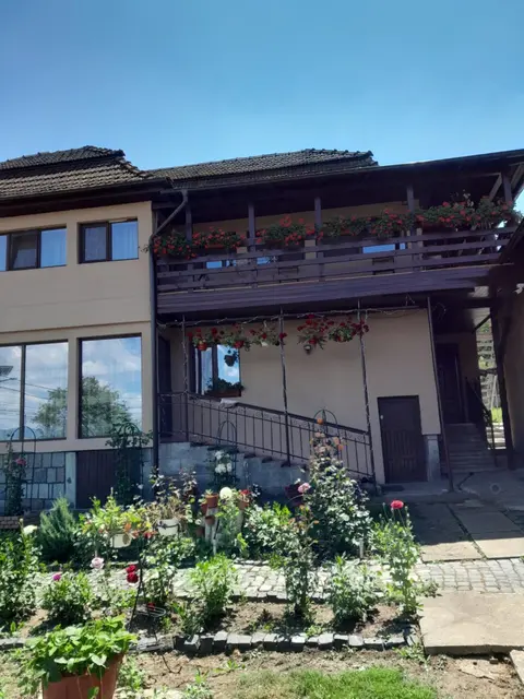 Casa Alex