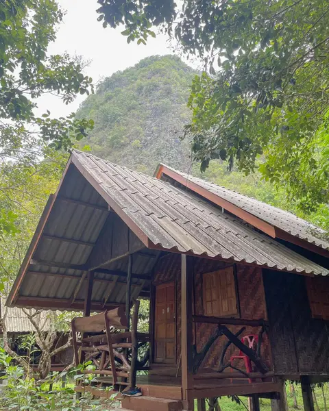 Khao Sok Green Mountain View