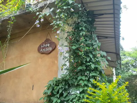White Arcadia cottage