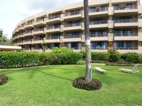 Paki Maui #109