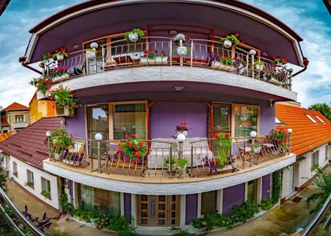 Negrean Residence