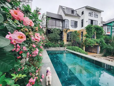 Le vent Tam Đảo homestay