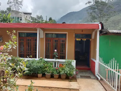 Dilani Adamspeak RiverStay
