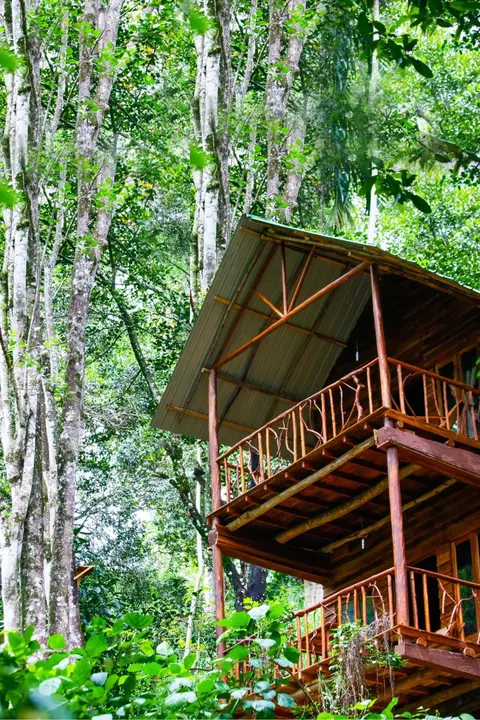 ELLA Eco Lodge, Wellness & Yoga retreat
