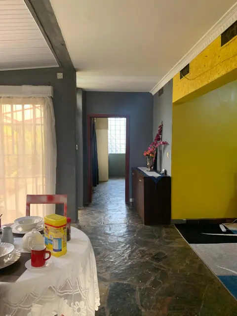 homy appartment