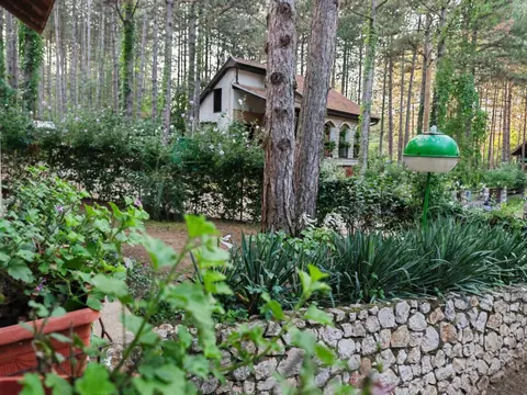 Apartmani Todorovic