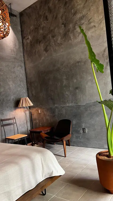 CASA PATO
