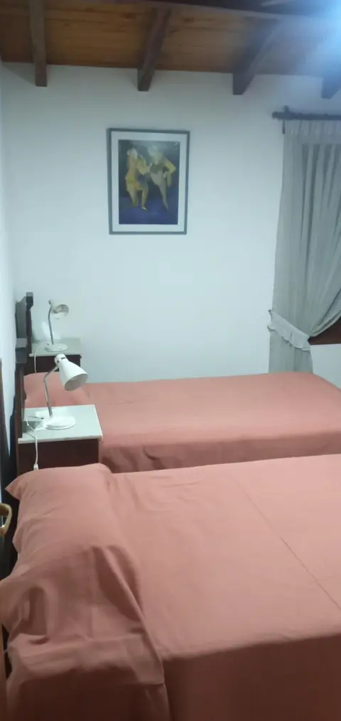 Departamento Alarken