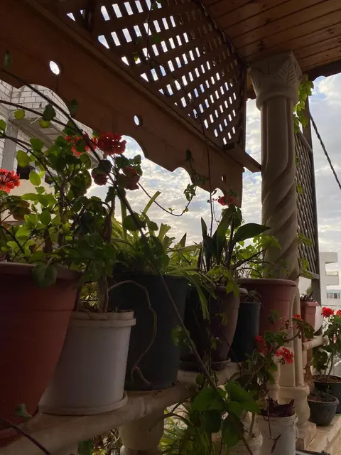 بيت جرش - Jerash House