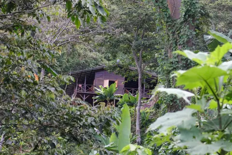Mano Verde Minca