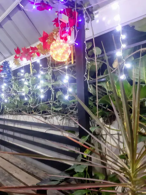 Casa Erelle -1 Bedroom guest house w/ modern kubo