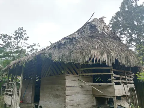 Ditsokata Ú