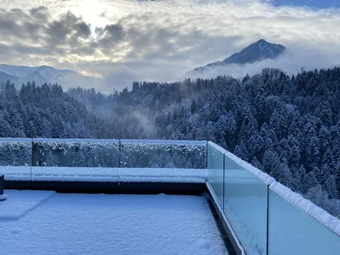 Wohnung Staufenblick und Wohnung Firstblick