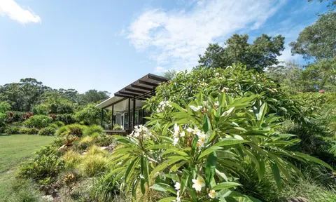 Lily Pad at Byron Bay