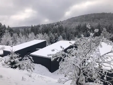 Nest in Gărâna - Cardinal House