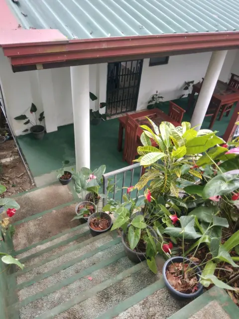 Ella Nature Breeze