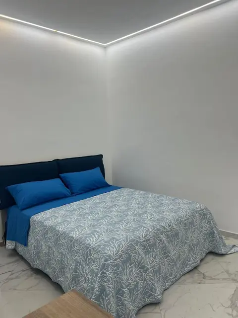 Minerva Holiday House
