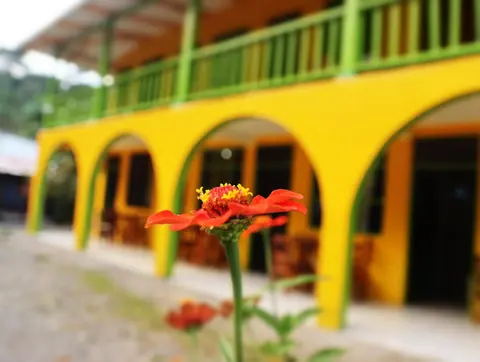 Cool & Calm Hotel