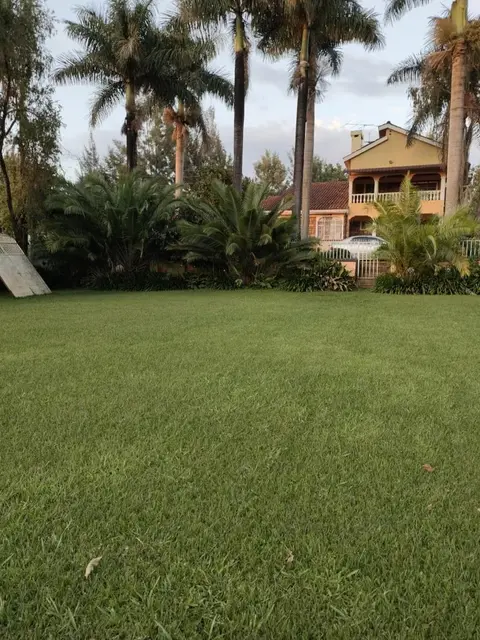 Zack's Serene House
