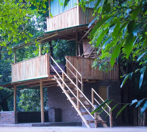 Forest Tree Top Holiday Resort
