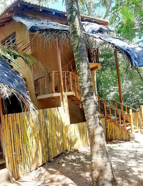 Seasons Four Jungle Treehouse