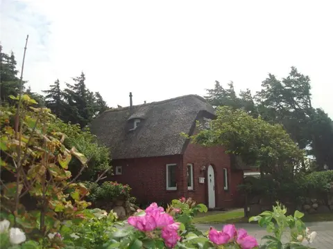 Haus-Moewennest