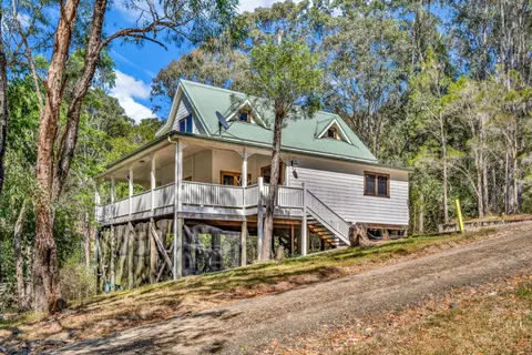 Blokhus, a stunning retreat in the treetops