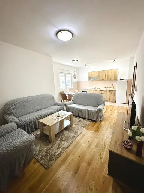 Roomy Lux Apartmant