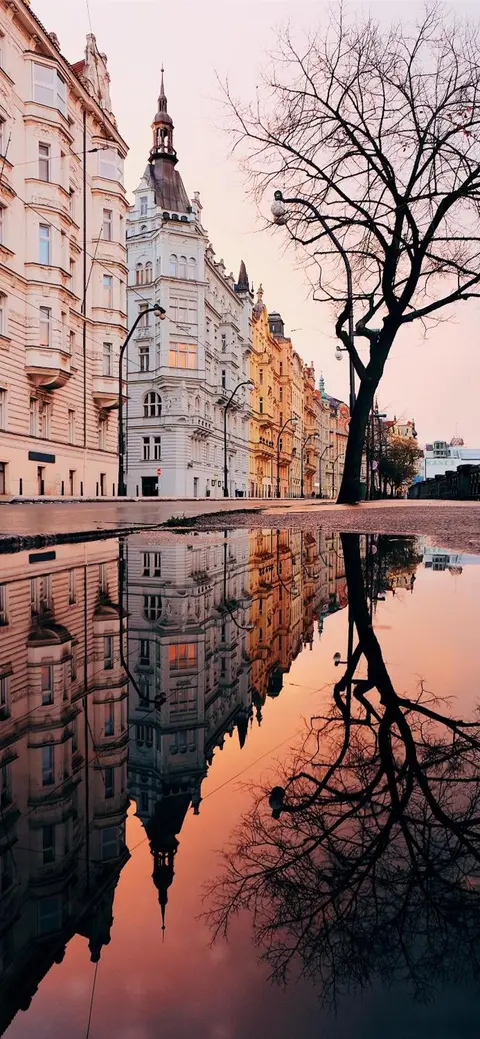 Center of Prague Rooms 369