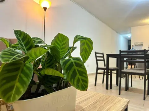 Departamento Harmony Xalapa