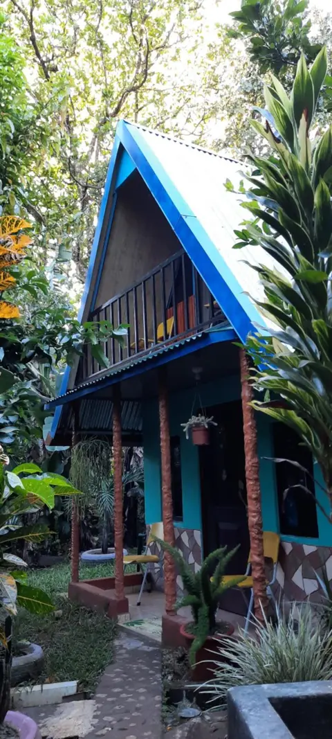 Cabaña bosque verde
