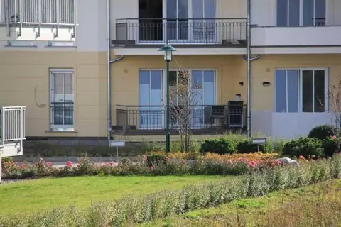 Silbermöwe Balkon 150 m Strand