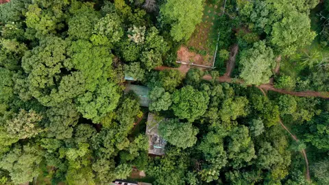 Woodsy Villa