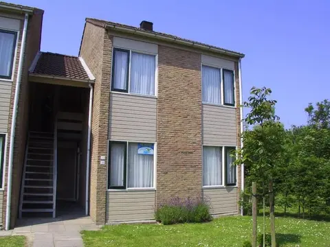 Schorrebloem 20*