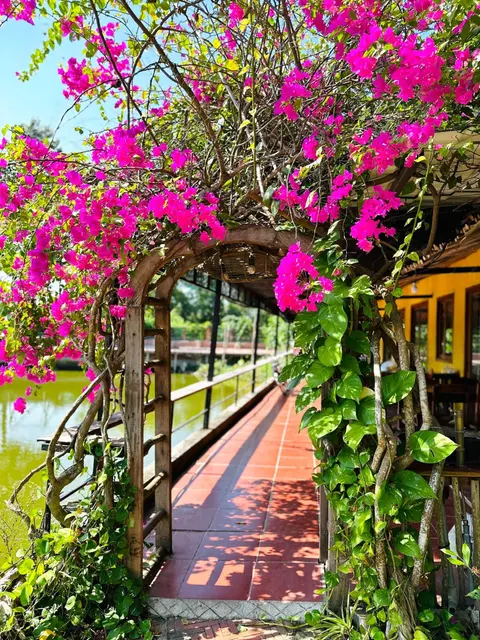 TINA LAKESIDE AO ĐÔI Homestay Phước Hải